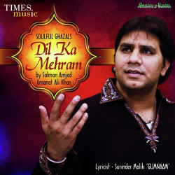 Unknown Dil Ka Mehram