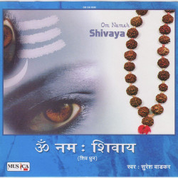 Hindi-Singles Unknown