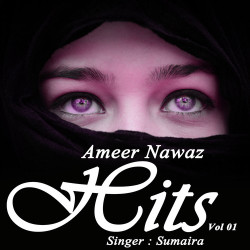 Unknown Ameer Nawaz Hits Vol 01
