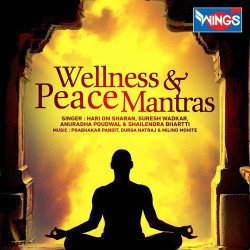 Unknown Wellness And Peace Mantras