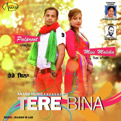 Unknown Tere Bina