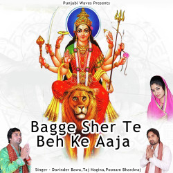 Unknown Bagge Sher Te Beh Ke Aaja