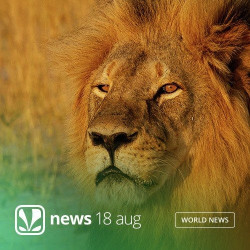 Unknown Tuesday, July 28th, 2015 - News Update