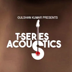 Unknown T Series Acoustics