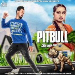 Punjabi-Singles Unknown