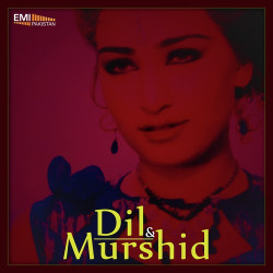 Unknown Dil - Murshid