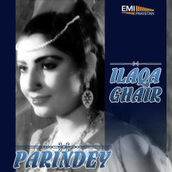 Punjabi Unknown