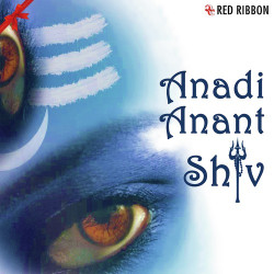 Unknown Anadi Anant Shiv