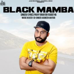 Punjabi-Singles Unknown