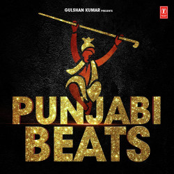 Unknown Punjabi Beats