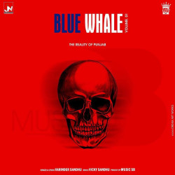 Unknown Blue Whale