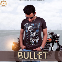 Unknown Bullet