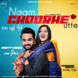 Punjabi-Singles Unknown
