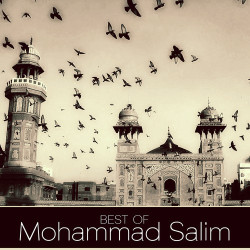 Punjabi Unknown