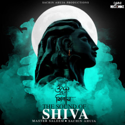 Unknown The Sound Of Shiva