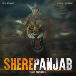 Unknown Shere Panjab