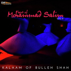 Unknown Mohammad Salim - Vol 2