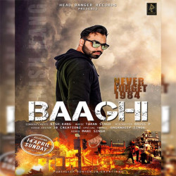 Unknown Baaghi