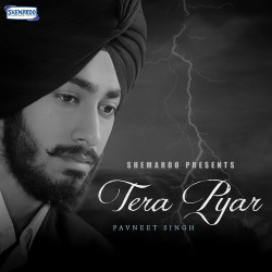 Punjabi-Singles Unknown