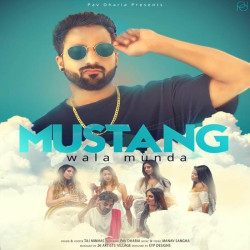 Punjabi-Singles Unknown