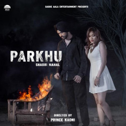 Punjabi-Singles Unknown