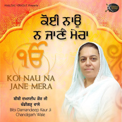 Unknown Koi Nau Na Jane Mera