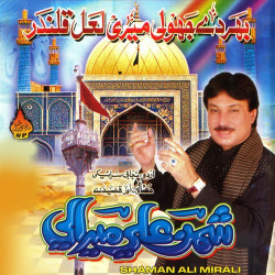 Unknown Bhar De Jholi Meri Lal Qalandar