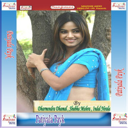 Unknown Patiyala Payk