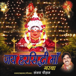 Unknown Jai Harsedhi Maa Garba