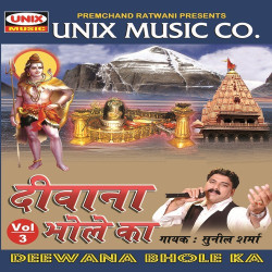 Unknown Deewana Bhole Ka, Vol 3