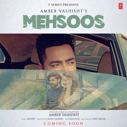 Punjabi-Singles Mehsoos