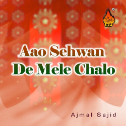 Unknown Aao Sehwan De Mele Chalo