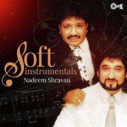 Unknown Soft Instrumentals - Nadeem Shravan
