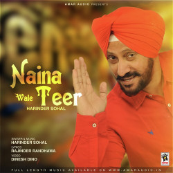 Unknown Naina Wale Teer