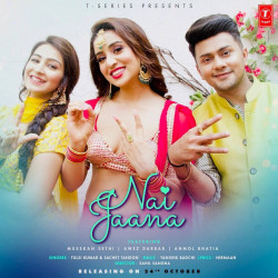 Hindi-Singles Nai Jaana