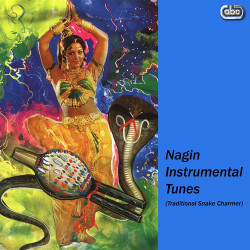 Unknown Nagin Instrumental Tunes (Traditional Snake Charmer)
