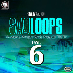 Unknown Sagloops Volume 6 - The Ultimate Bhangra Break Beats For The DJ