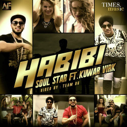 Unknown Habibi