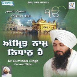 Unknown Amrit Naam Nidhan Hai