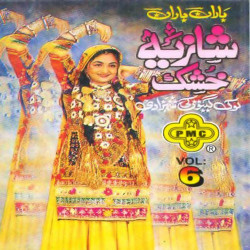 Punjabi Unknown