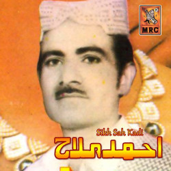 Unknown Sikh Sah Kadi