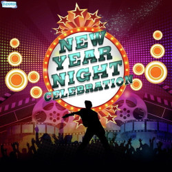 Unknown New Year Night Celebration