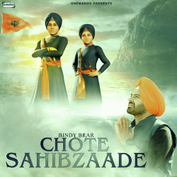 Unknown Chote Sahibzaade
