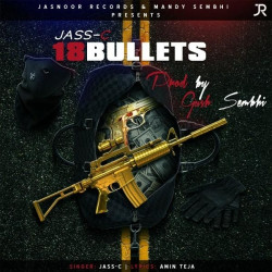 Unknown 18 Bullets