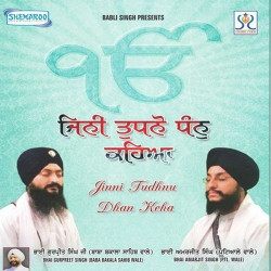 Unknown Jinni Tudhnu Dhan Keha