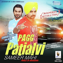 Unknown Pagg Patialvi