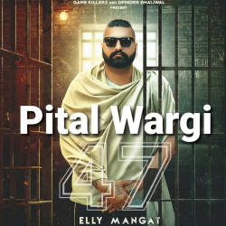 Unknown Pital Wargi