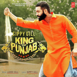 Punjabi-Singles Unknown
