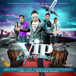 Unknown The VIP Experience Mixtape