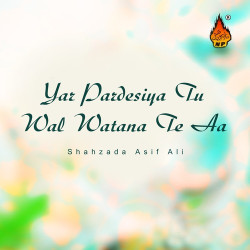 Punjabi Unknown